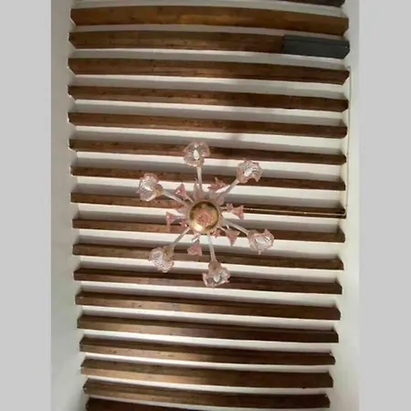 Leoncini With A Wonderful Canal View